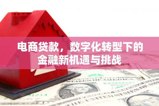 大冶电商贷款，数字化转型下的金融新机遇与挑战