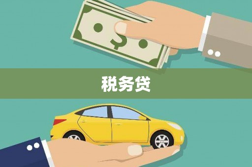 大冶税务贷