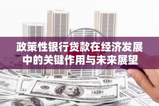 大冶政策性银行贷款在经济发展中的关键作用与未来展望