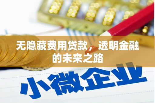 大冶无隐藏费用贷款，透明金融的未来之路