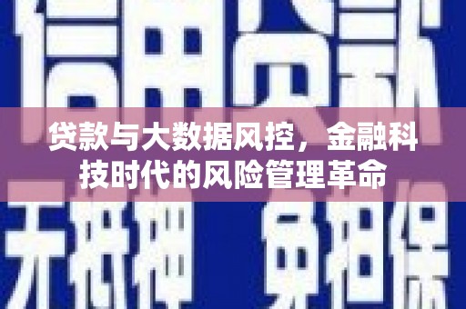 大冶贷款与大数据风控，金融科技时代的风险管理革命