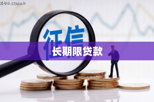 大冶长期限贷款