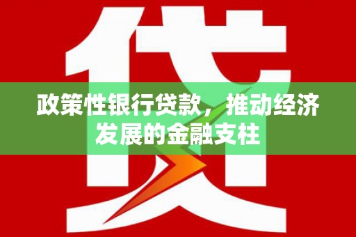 大冶政策性银行贷款，推动经济发展的金融支柱