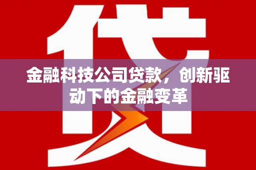 大冶金融科技公司贷款，创新驱动下的金融变革