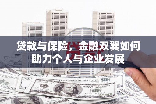 大冶贷款与保险，金融双翼如何助力个人与企业发展