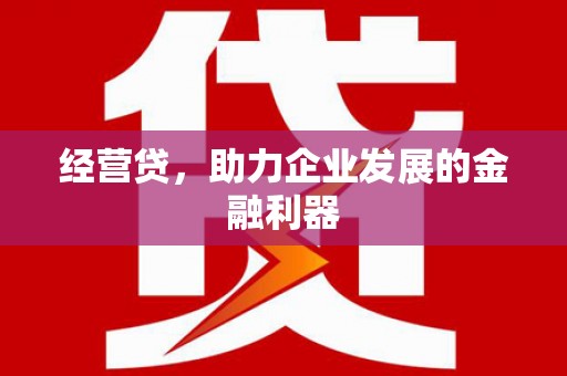 大冶经营贷，助力企业发展的金融利器