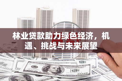 大冶林业贷款助力绿色经济，机遇、挑战与未来展望