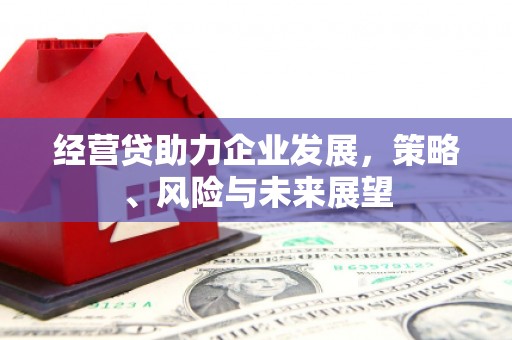 大冶经营贷助力企业发展，策略、风险与未来展望