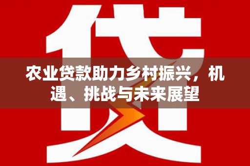 大冶农业贷款助力乡村振兴，机遇、挑战与未来展望