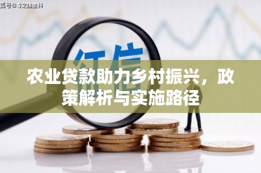 大冶农业贷款助力乡村振兴，政策解析与实施路径