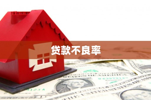 大冶贷款不良率