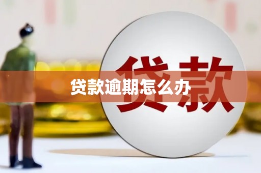 大冶贷款逾期怎么办