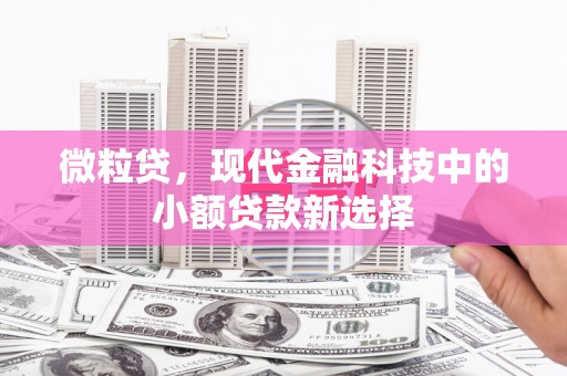 大冶微粒贷，现代金融科技中的小额贷款新选择