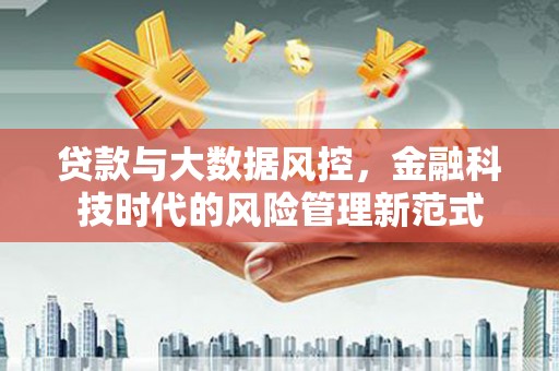 大冶贷款与大数据风控，金融科技时代的风险管理新范式