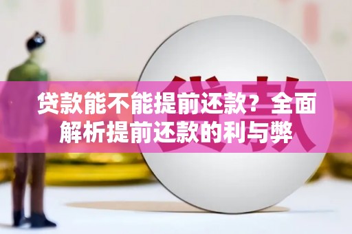 大冶贷款能不能提前还款？全面解析提前还款的利与弊