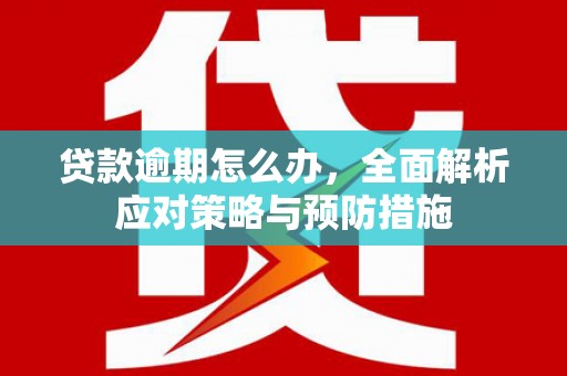 大冶贷款逾期怎么办，全面解析应对策略与预防措施