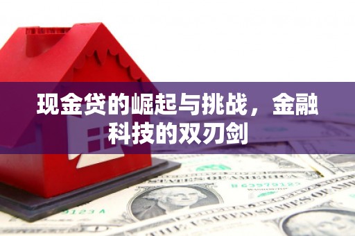 大冶现金贷的崛起与挑战，金融科技的双刃剑
