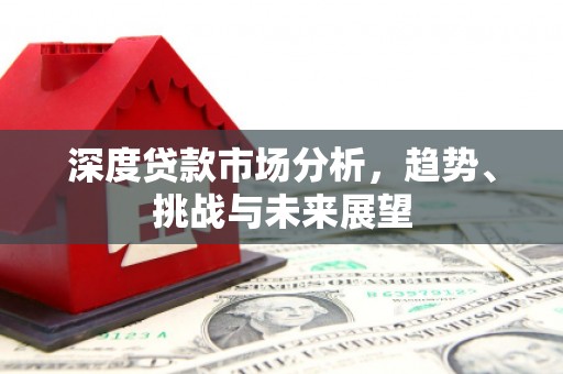 大冶深度贷款市场分析，趋势、挑战与未来展望