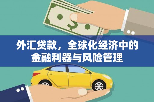大冶外汇贷款，全球化经济中的金融利器与风险管理