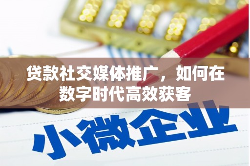 大冶贷款社交媒体推广，如何在数字时代高效获客