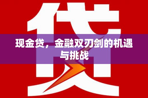 大冶现金贷，金融双刃剑的机遇与挑战