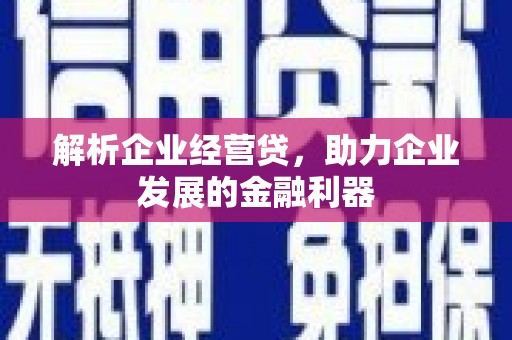 大冶解析企业经营贷，助力企业发展的金融利器