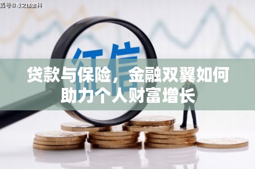 大冶贷款与保险，金融双翼如何助力个人财富增长
