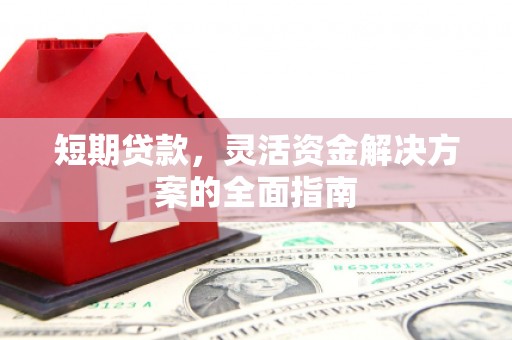 大冶短期贷款，灵活资金解决方案的全面指南