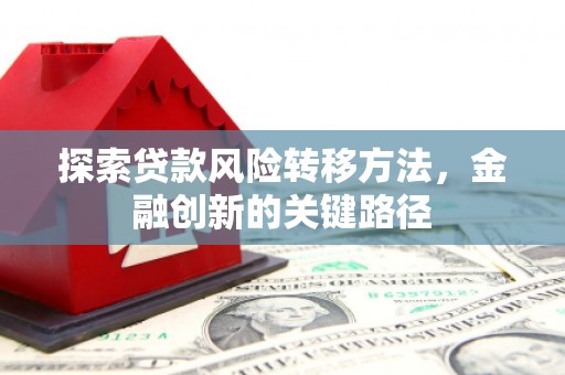 大冶探索贷款风险转移方法，金融创新的关键路径