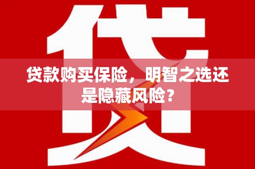 大冶贷款购买保险，明智之选还是隐藏风险？