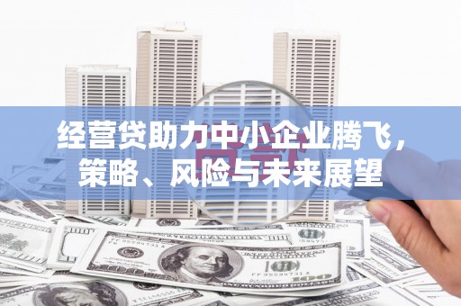 大冶经营贷助力中小企业腾飞，策略、风险与未来展望