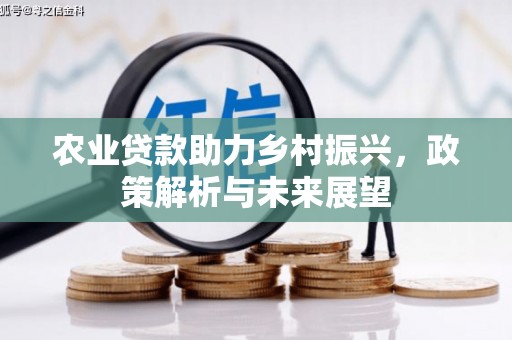 大冶农业贷款助力乡村振兴，政策解析与未来展望