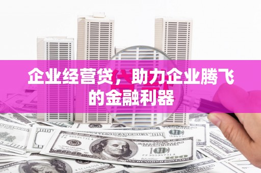 大冶企业经营贷，助力企业腾飞的金融利器