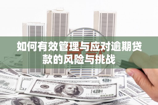 大冶如何有效管理与应对逾期贷款的风险与挑战