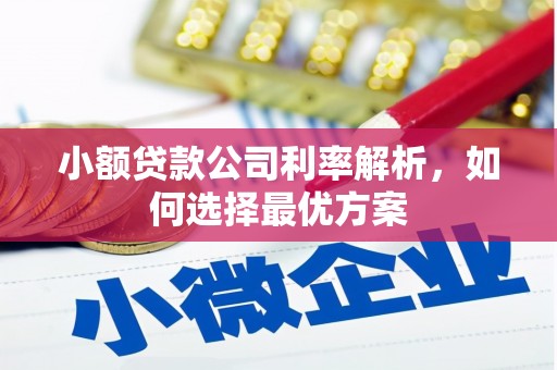 大冶小额贷款公司利率解析，如何选择最优方案