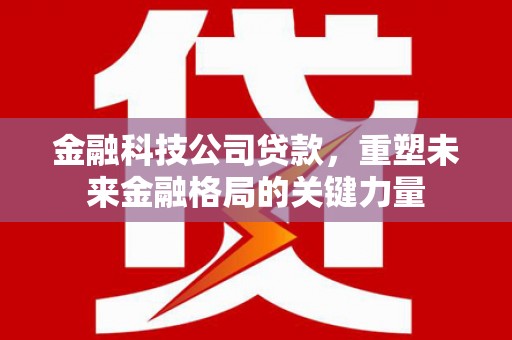 大冶金融科技公司贷款，重塑未来金融格局的关键力量