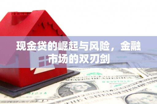 大冶现金贷的崛起与风险，金融市场的双刃剑
