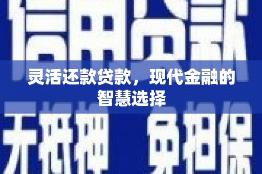 大冶灵活还款贷款，现代金融的智慧选择