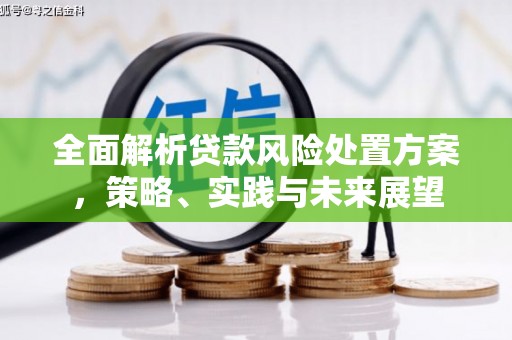 大冶全面解析贷款风险处置方案，策略、实践与未来展望