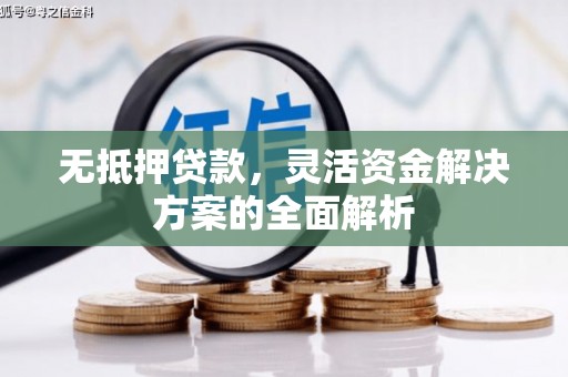 大冶无抵押贷款，灵活资金解决方案的全面解析