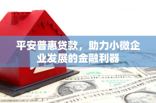大冶平安普惠贷款，助力小微企业发展的金融利器