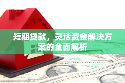 大冶短期贷款，灵活资金解决方案的全面解析