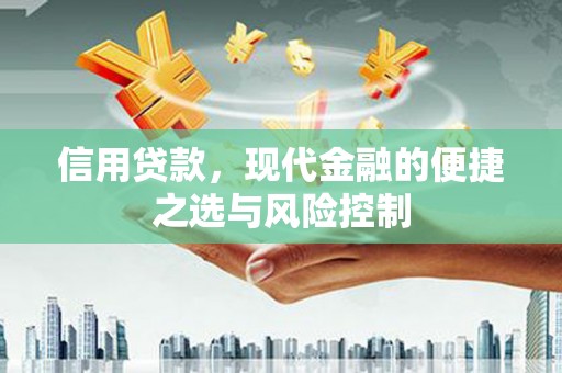大冶信用贷款，现代金融的便捷之选与风险控制