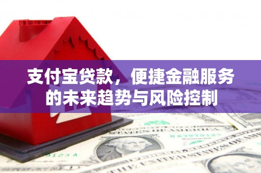 大冶支付宝贷款，便捷金融服务的未来趋势与风险控制