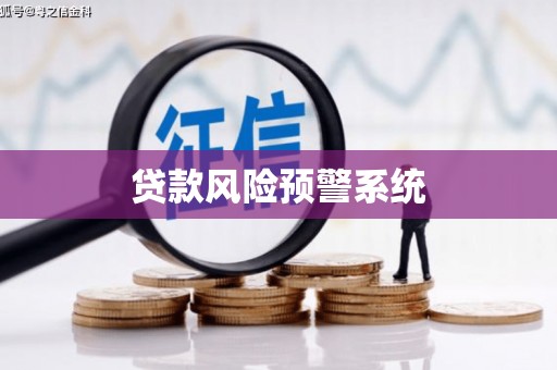 大冶贷款风险预警系统