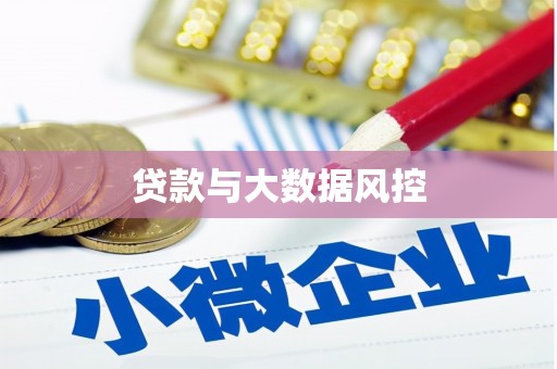 大冶贷款与大数据风控