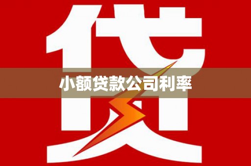 大冶小额贷款公司利率