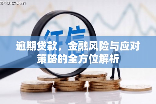 大冶逾期贷款，金融风险与应对策略的全方位解析