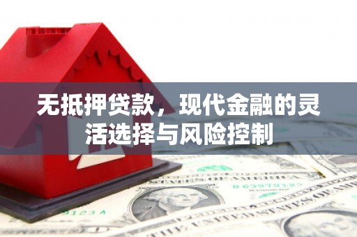 大冶无抵押贷款，现代金融的灵活选择与风险控制
