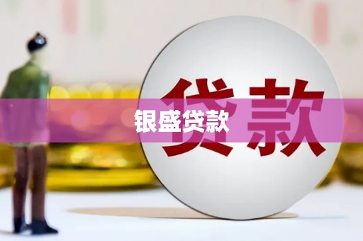 大冶银盛贷款
